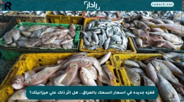 قفزة جديدة في أسعار السمك بالعراق.. هل أثر ذلك على ميزانيتك؟